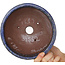 Pot à bonsaï rond bleu foncé de Shuhou - 183 x 183 x 75 mm