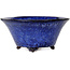 Round dark blue bonsai pot by Shuhou - 190 x 190 x 90 mm