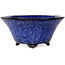 Ronde donkerblauwe bonsaipot van Shuhou - 190 x 190 x 90 mm