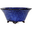 Pot à bonsaï rond bleu foncé de Shuhou - 190 x 190 x 90 mm