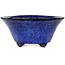 Round dark blue bonsai pot by Shuhou - 190 x 190 x 90 mm
