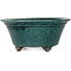 Pot à bonsaï rond vert de Shuhou - 197 x 197 x 85 mm