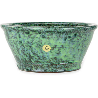  Shuuhou (Hidemi Kataoka) 180 mm  green bonsai pot by Shuhou, Tokoname, Japan