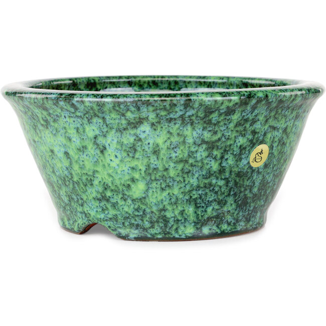 Round green bonsai pot by Shuhou - 190 x 190 x 80 mm