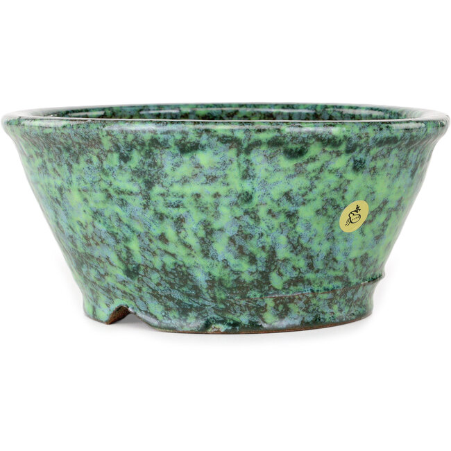 Vaso bonsai rotondo verde di Shuhou - 180 x 180 x 82 mm