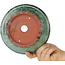 Maceta redonda verde para bonsái de Shuhou - 180 x 180 x 82 mm