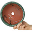 Ronde groene bonsaipot van Shuhou - 180 x 180 x 82 mm