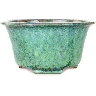  Shuuhou (Hidemi Kataoka) Vaso bonsai verde da 163 mm di Shuhou, Tokoname, Giappone