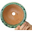 Pot à bonsaï rond vert de Shuhou - 163 x 163 x 83 mm