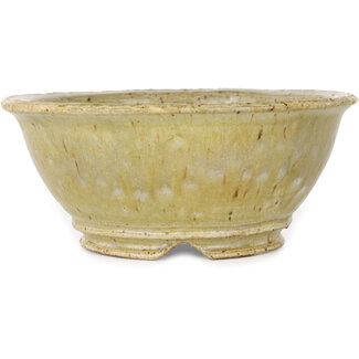  Shuuhou (Hidemi Kataoka) 162 mm  beige bonsai pot by Shuhou, Tokoname, Japan