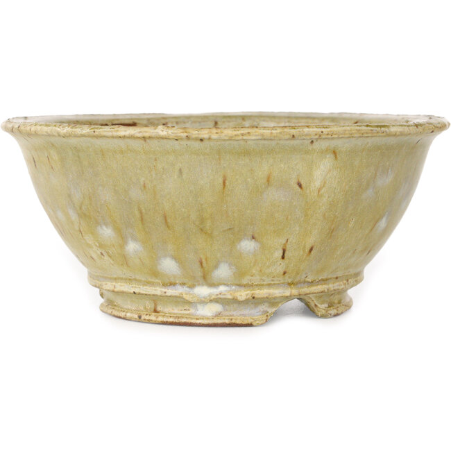 Maceta redonda beige para bonsái de Shuhou - 162 x 162 x 70 mm