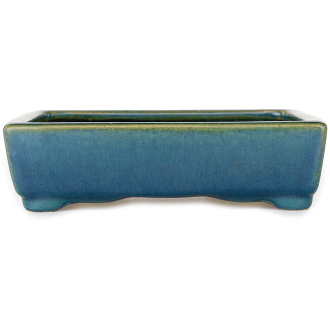 Maceta rectangular para bonsái azul y verde de Shouzan - 160 x 125 x 43 mm