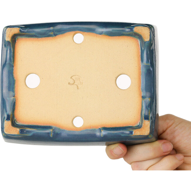 Maceta rectangular para bonsái azul y verde de Shouzan - 160 x 125 x 43 mm