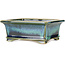Maceta rectangular para bonsái azul y verde de Shouzan - 120 x 100 x 48 mm