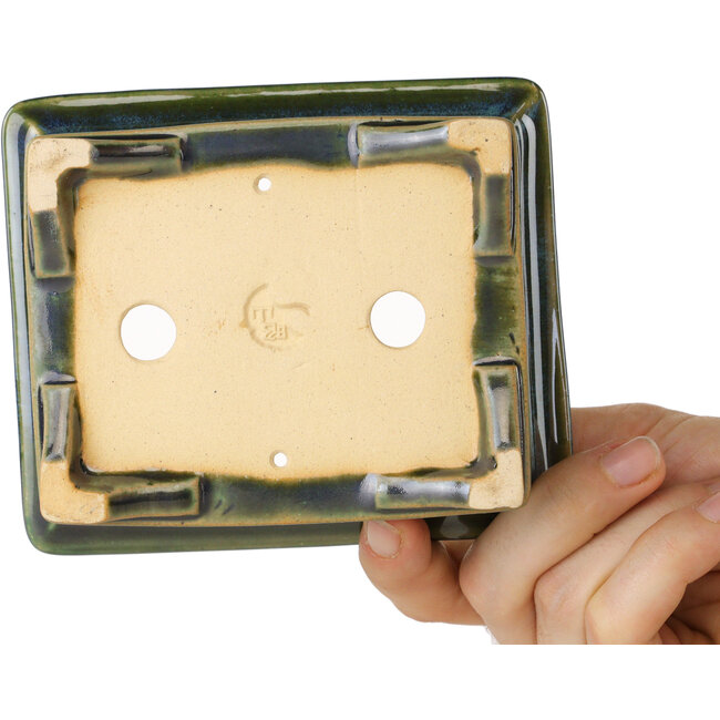 Maceta rectangular para bonsái azul y verde de Shouzan - 120 x 100 x 48 mm