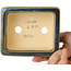Pot à bonsaï rectangulaire bleu et vert de Shouzan - 120 x 100 x 48 mm