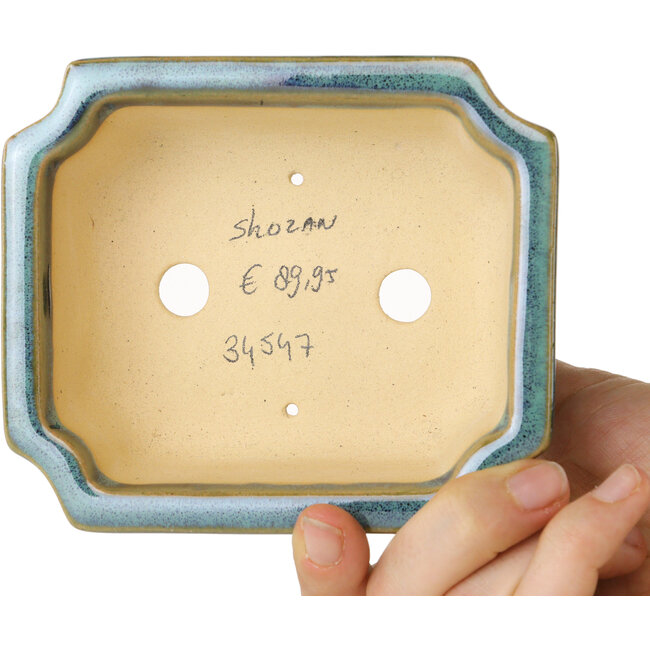 Maceta rectangular para bonsái azul y verde de Shouzan - 120 x 103 x 45 mm