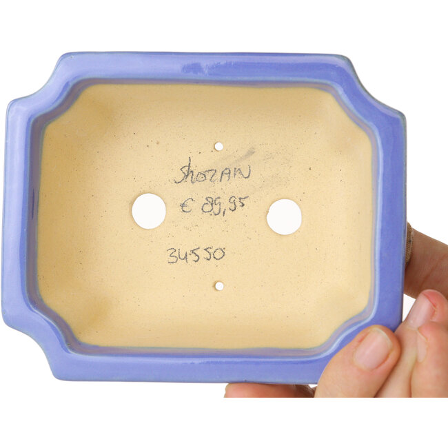 Maceta rectangular azul para bonsái de Shouzan - 127 x 103 x 47 mm