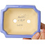 Pot à bonsaï rectangulaire bleu de Shouzan - 127 x 103 x 47 mm