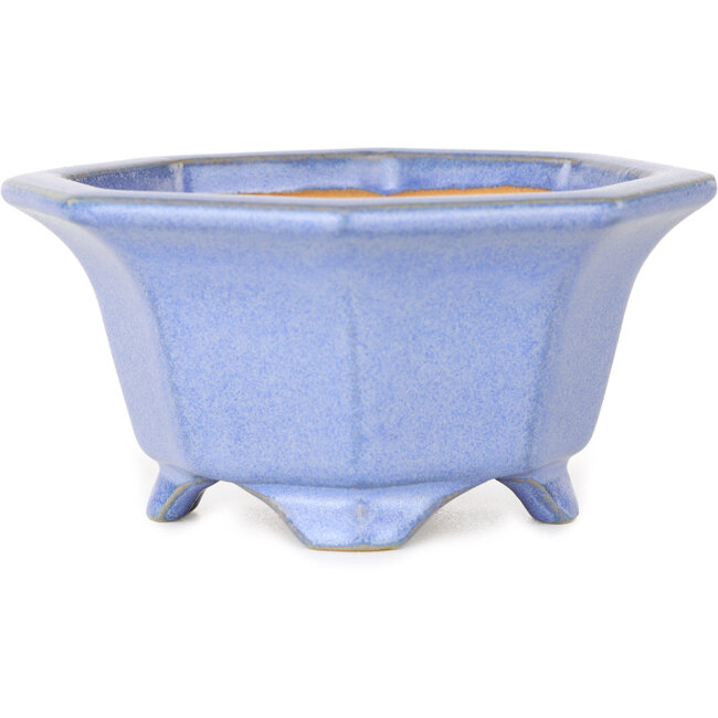 Vaso ottagonale blu per bonsai di Shouzan - 110 x 110 x 60 mm