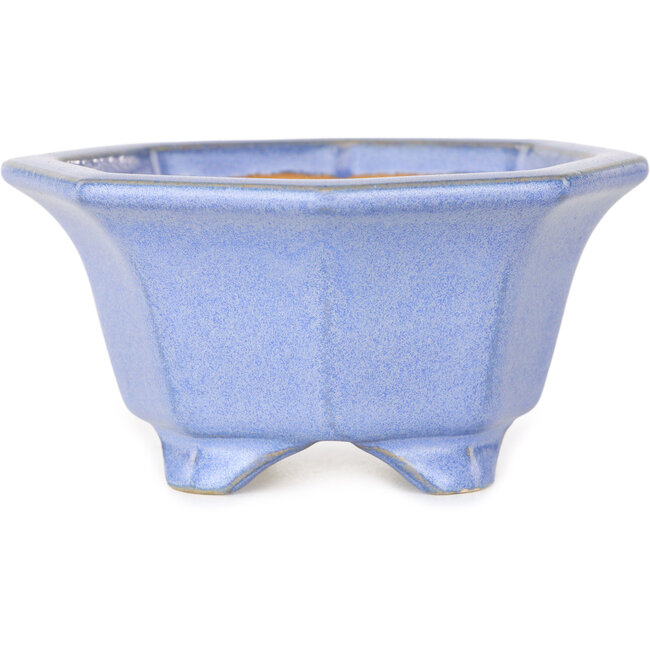 Maceta octogonal azul para bonsái de Shouzan - 110 x 110 x 60 mm