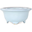 Round light blue bonsai pot by Shouzan - 113 x 113 x 53 mm
