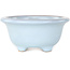 Ronde lichtblauwe bonsaipot van Shouzan - 113 x 113 x 53 mm