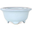 Pot à bonsaï rond bleu clair de Shouzan - 113 x 113 x 53 mm