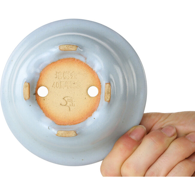 Pot à bonsaï rond bleu clair de Shouzan - 113 x 113 x 53 mm