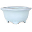 Maceta redonda azul claro para bonsái de Shouzan - 113 x 113 x 53 mm