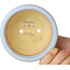 Ronde lichtblauwe bonsaipot van Shouzan - 113 x 113 x 53 mm