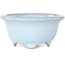 Maceta redonda azul claro para bonsái de Shouzan - 113 x 113 x 53 mm
