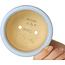 Ronde lichtblauwe bonsaipot van Shouzan - 113 x 113 x 53 mm
