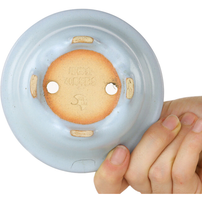 Vaso bonsai rotondo azzurro chiaro di Shouzan - 113 x 113 x 53 mm