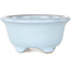 Vaso bonsai rotondo azzurro chiaro di Shouzan - 113 x 113 x 53 mm
