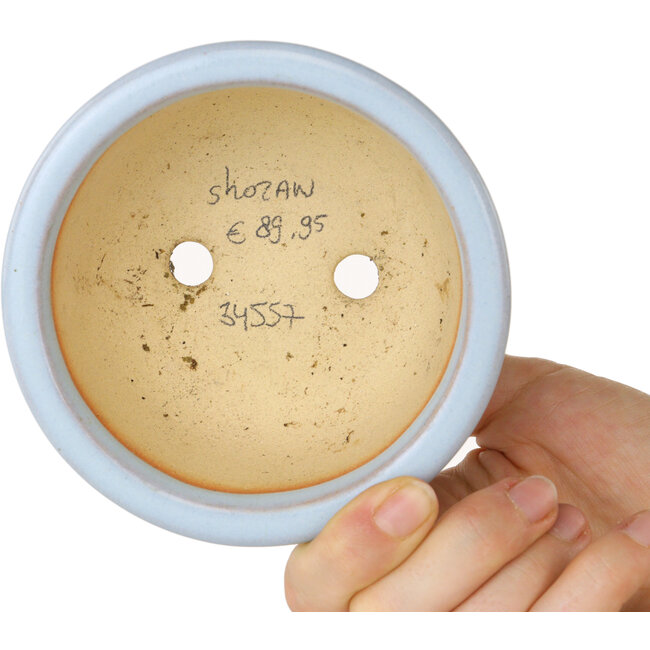 Ronde lichtblauwe bonsaipot van Shouzan - 113 x 113 x 53 mm