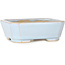 Rectangular light blue bonsai pot by Shouzan - 118 x 97 x 42 mm