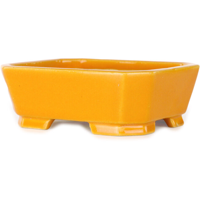 Maceta rectangular naranja para bonsái de Shouzan - 118 x 97 x 42 mm