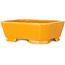 Maceta rectangular naranja para bonsái de Shouzan - 118 x 97 x 42 mm