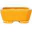 Maceta rectangular naranja para bonsái de Shouzan - 118 x 97 x 42 mm