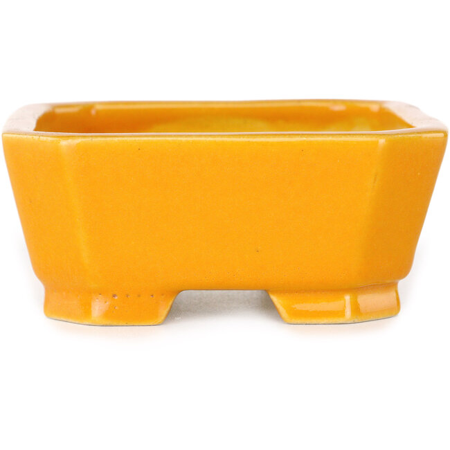Maceta rectangular naranja para bonsái de Shouzan - 118 x 97 x 42 mm