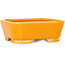Maceta rectangular naranja para bonsái de Shouzan - 118 x 97 x 42 mm
