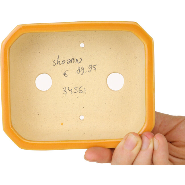 Rechthoekige oranje bonsaipot van Shouzan - 118 x 97 x 42 mm