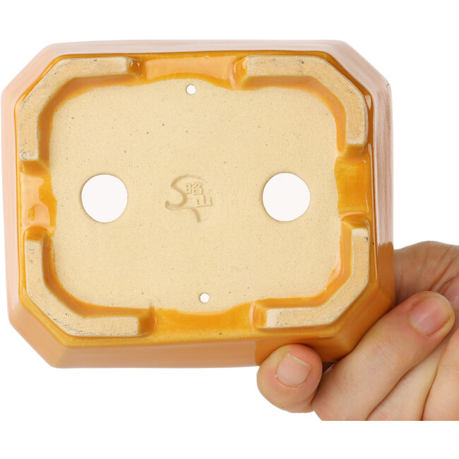 Maceta rectangular naranja para bonsái de Shouzan - 118 x 97 x 42 mm