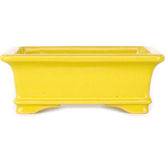 Shouzan  (Akira/Masami Watanabe) 128 mm  yellow bonsai pot by Shouzan, Japan