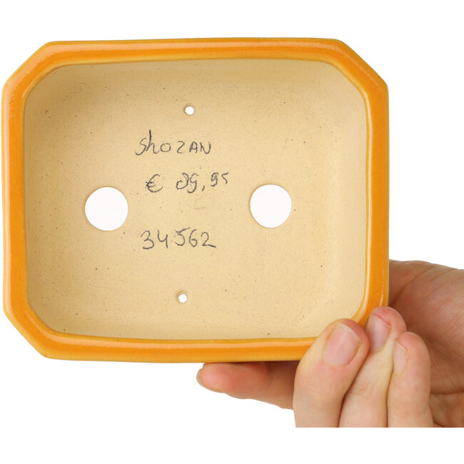 Maceta rectangular naranja para bonsái de Shouzan - 118 x 97 x 42 mm