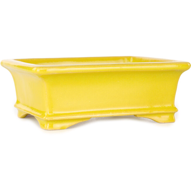 Maceta rectangular amarilla para bonsái de Shouzan - 128 x 108 x 47 mm