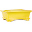 Vaso bonsai rettangolare giallo di Shouzan - 128 x 108 x 47 mm