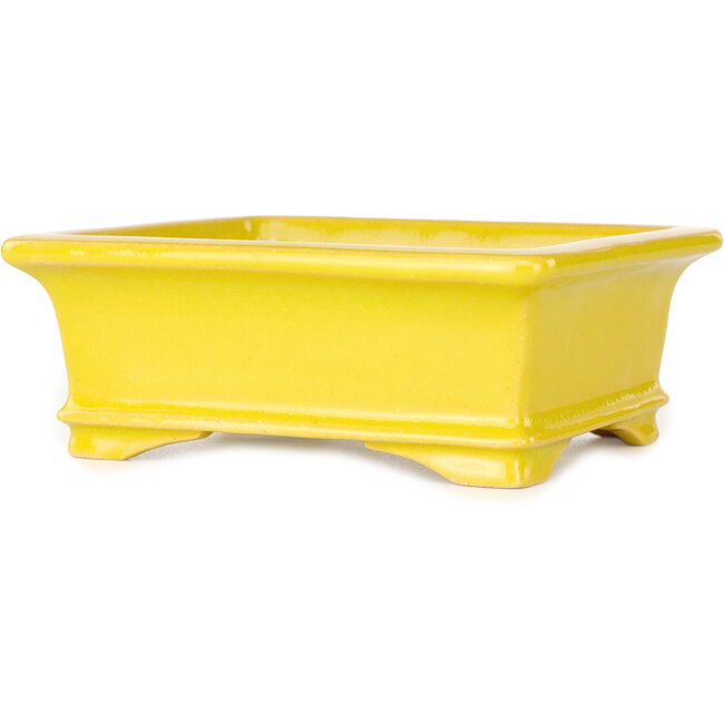 Rectangular yellow bonsai pot by Shouzan - 128 x 108 x 47 mm