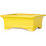 Rechthoekige gele bonsaipot van Shouzan - 128 x 108 x 47 mm